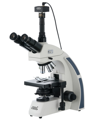 8d26ec4b-cf36-11ef-9d2e-000c29e1040d